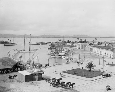 La Marina, San Juan, Porto Rico, c.1903 da Detroit Publishing Co.